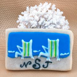 Beach Chair Cookie