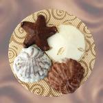 Chocolate Sea Shells